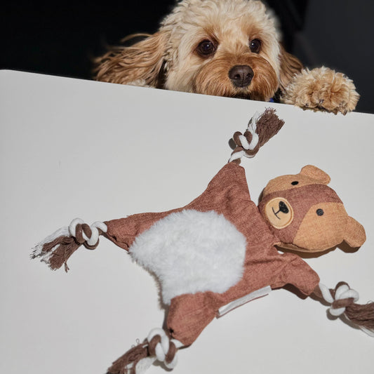 🐿🦊🦝🐻 Plush Forest Friends Rope Toys – Fox, Squirrel, Raccoon&Bear - DD PET