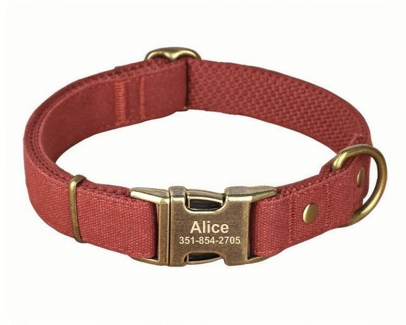 Custom Canvas Dog Collar with Brass Buckle – Personalised Engraving Available - DD PET