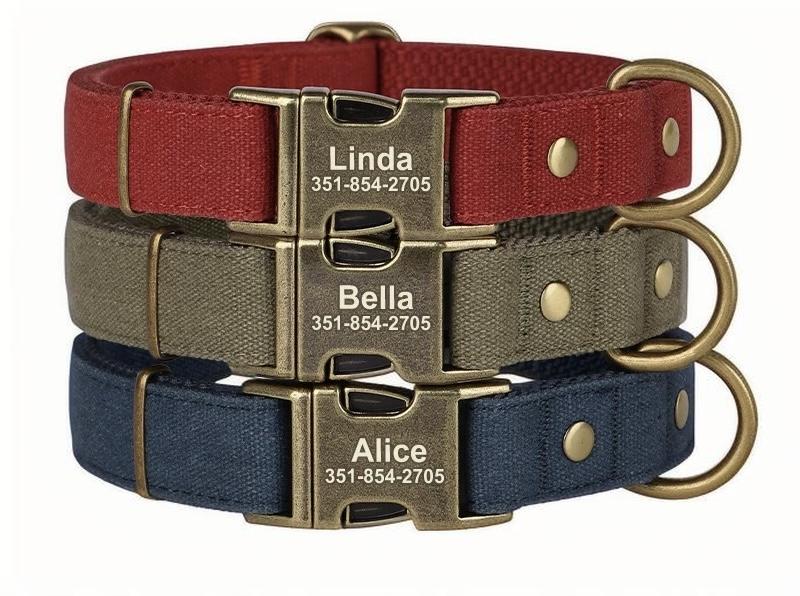 Custom Canvas Dog Collar with Brass Buckle – Personalised Engraving Available - DD PET