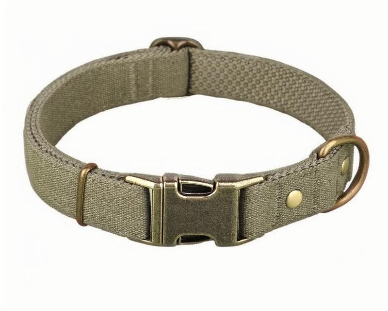 Custom Canvas Dog Collar with Brass Buckle – Personalised Engraving Available - DD PET