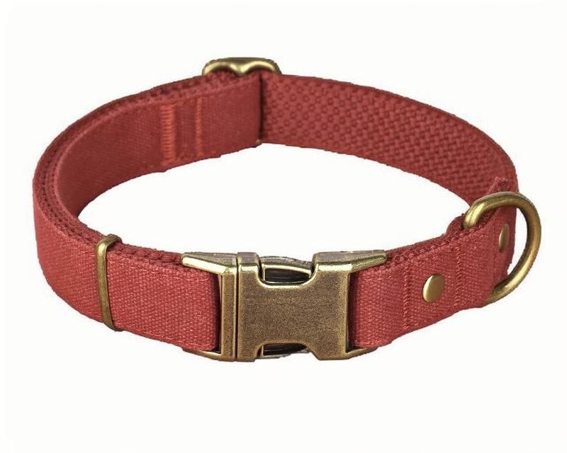 Custom Canvas Dog Collar with Brass Buckle – Personalised Engraving Available - DD PET