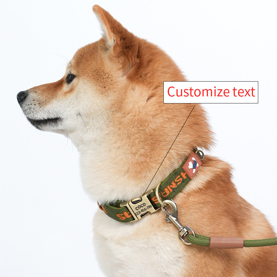 Personalised Engraveable Clip Dog Collar – Adjustable & Quick-Release - DD PET