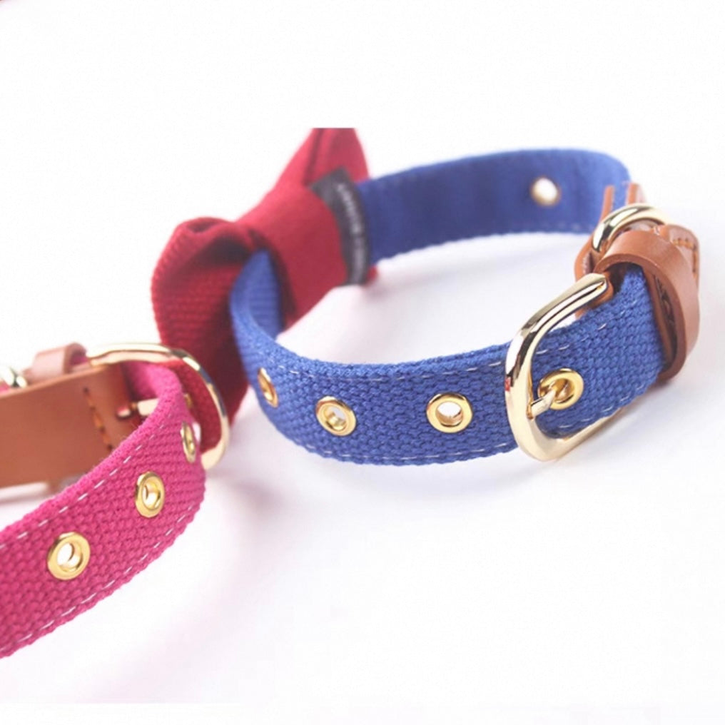 Luxury Bow Tie Dog Collar – Elegant & Adjustable - DD PET