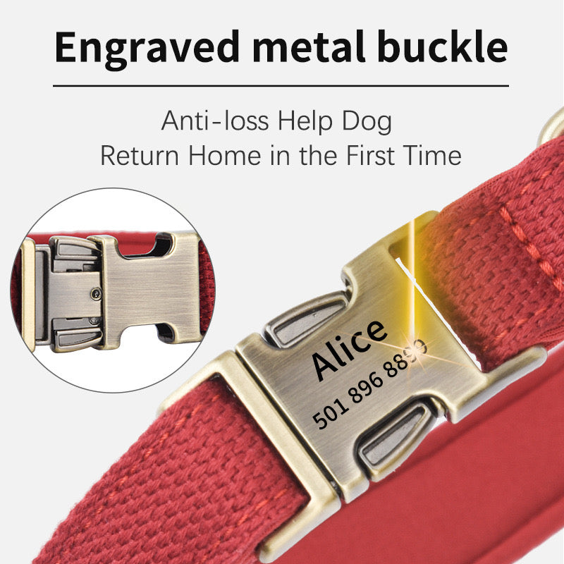 Custom Engraved Canvas Dog Collar – Adjustable with Soft Padding & Metal Buckle - DD PET