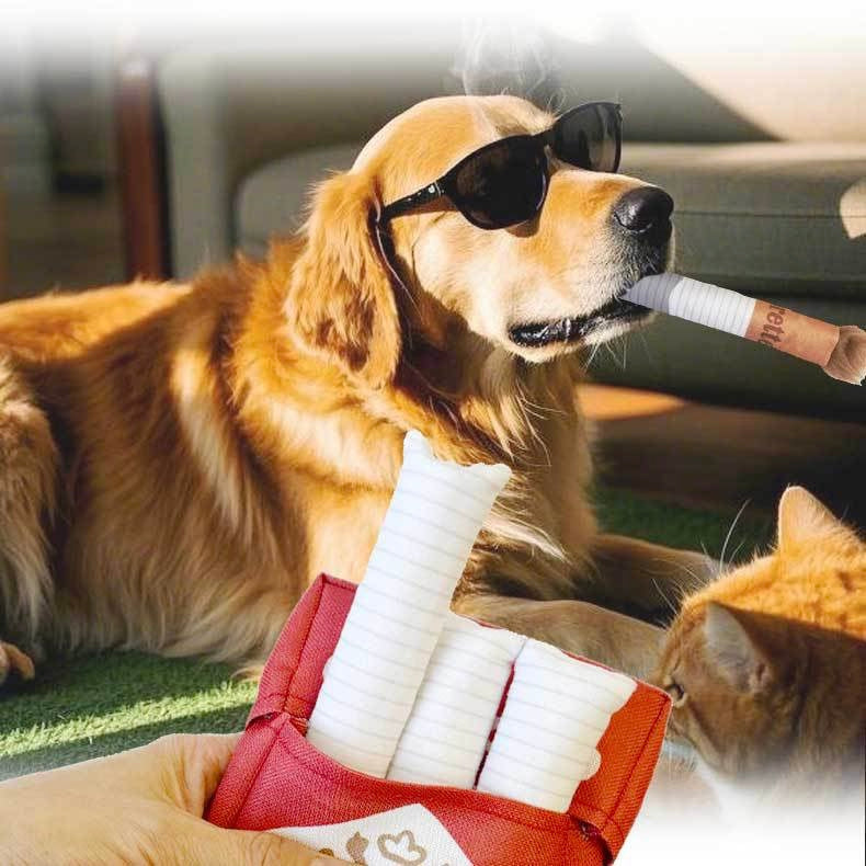 Interactive Cigarette Pack Plush Snuffle Dog Toy - DD PET