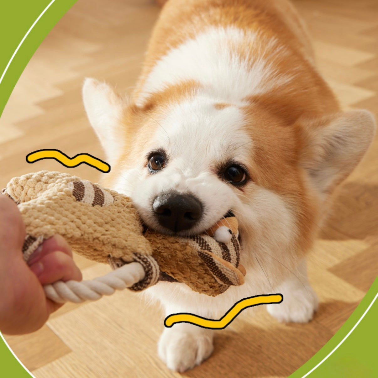 š§µ Natural Fabric Rope Dog Toys š¶ | Tug, Chew & Playtime Fun! - DD PET