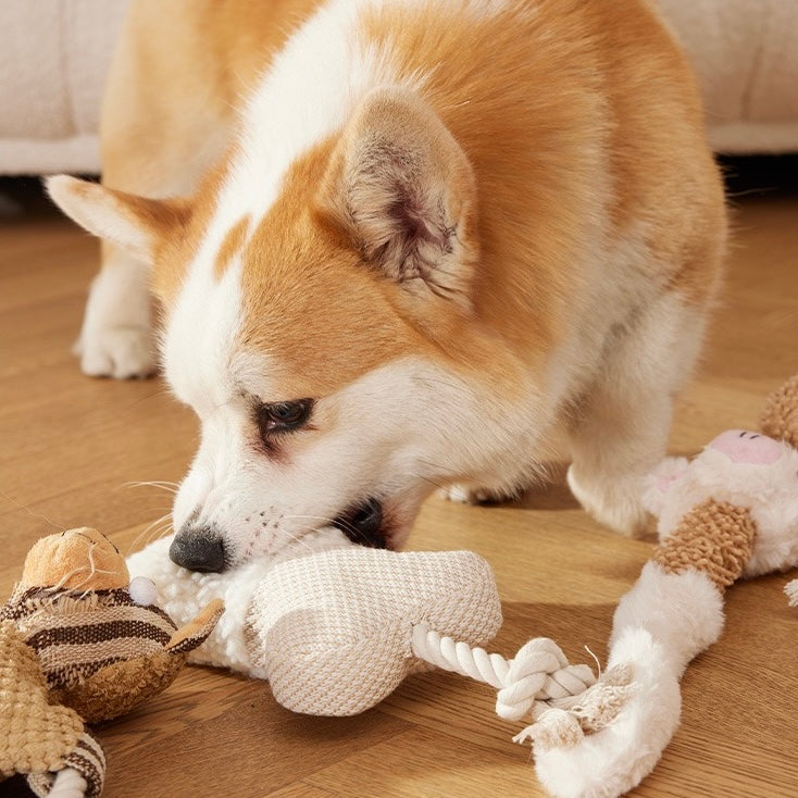 š§µ Natural Fabric Rope Dog Toys š¶ | Tug, Chew & Playtime Fun! - DD PET