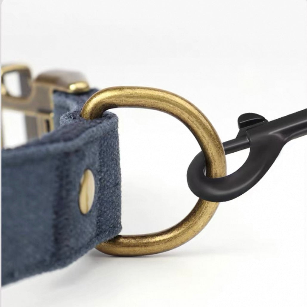 Custom Canvas Dog Collar with Brass Buckle – Personalised Engraving Available - DD PET