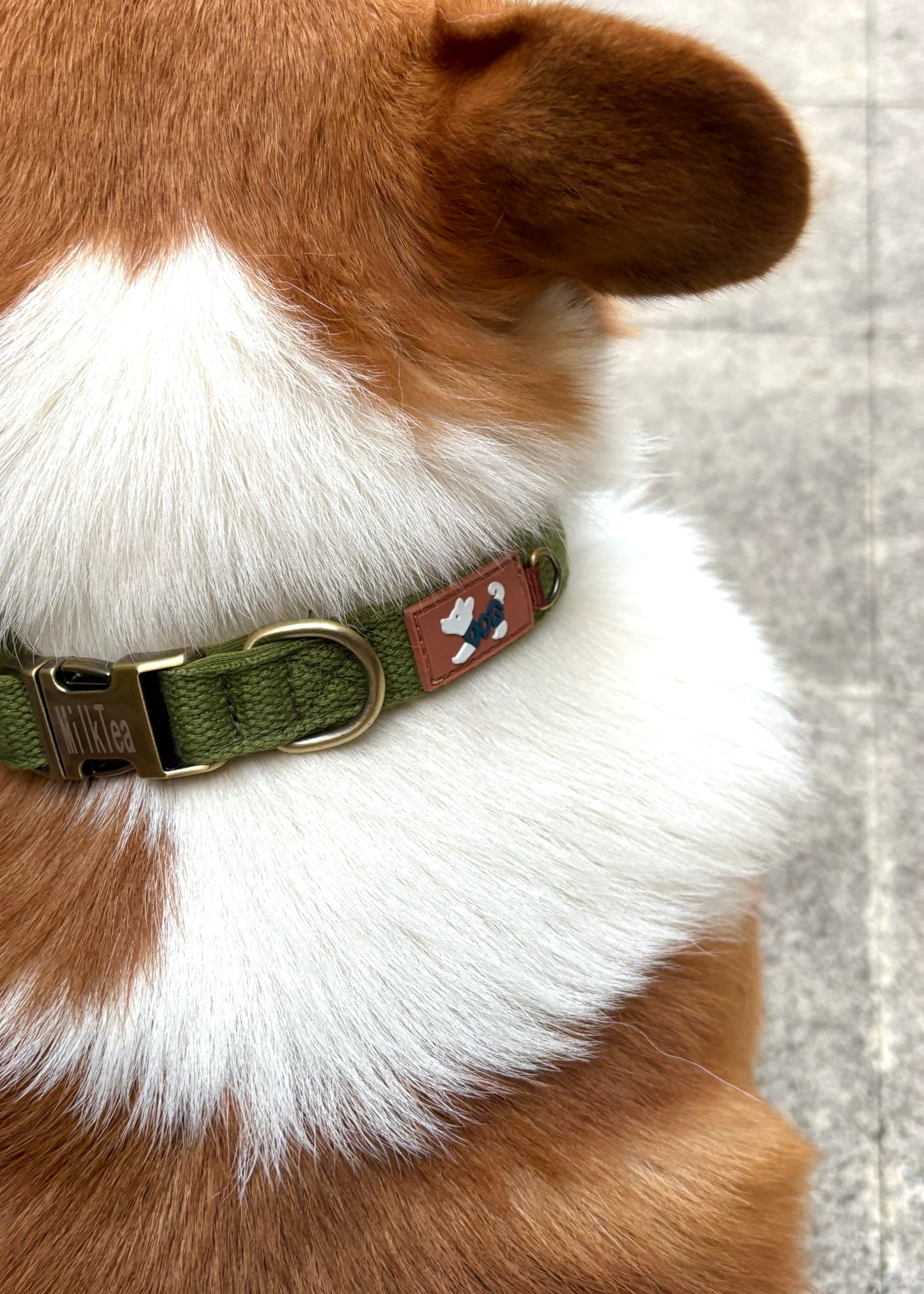 Personalised Engraveable Clip Dog Collar – Adjustable & Quick-Release - DD PET