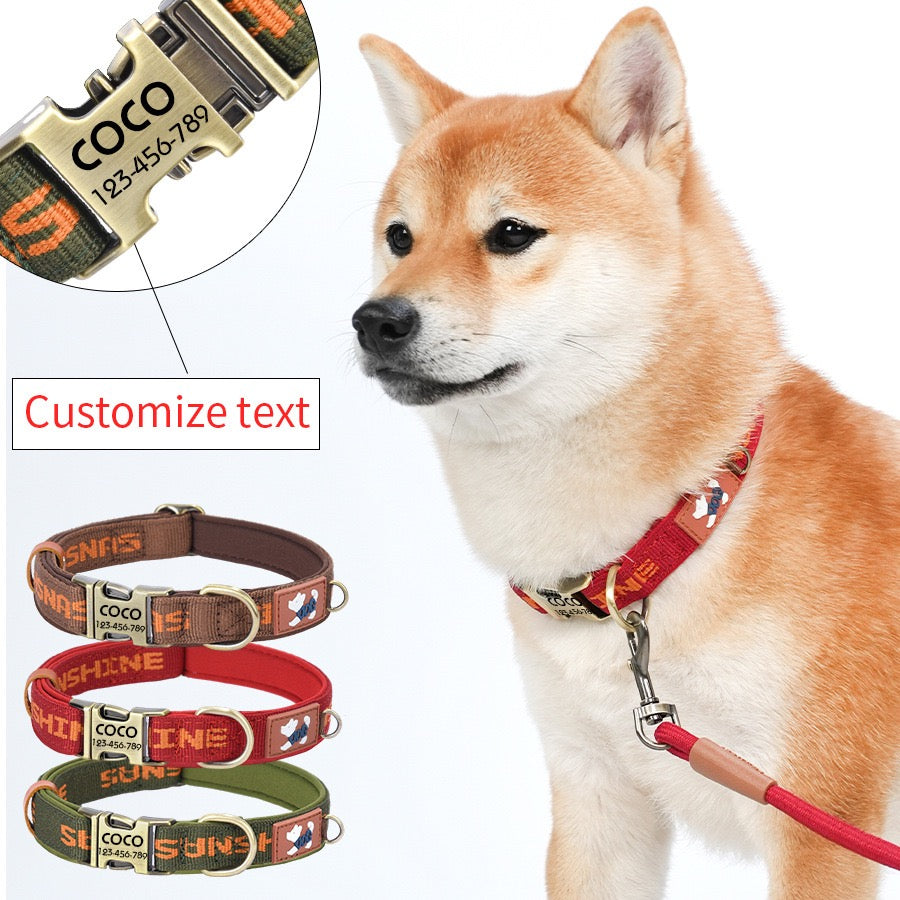 Personalised Engraveable Clip Dog Collar – Adjustable & Quick-Release - DD PET