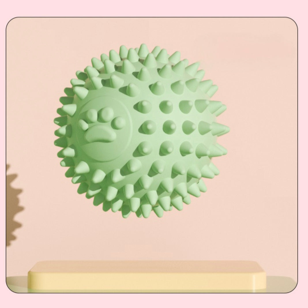πΎ Paw Print Spiky Dog Ball Toy | TPR Chew Ball for Small Dogs & Puppies - DD PET