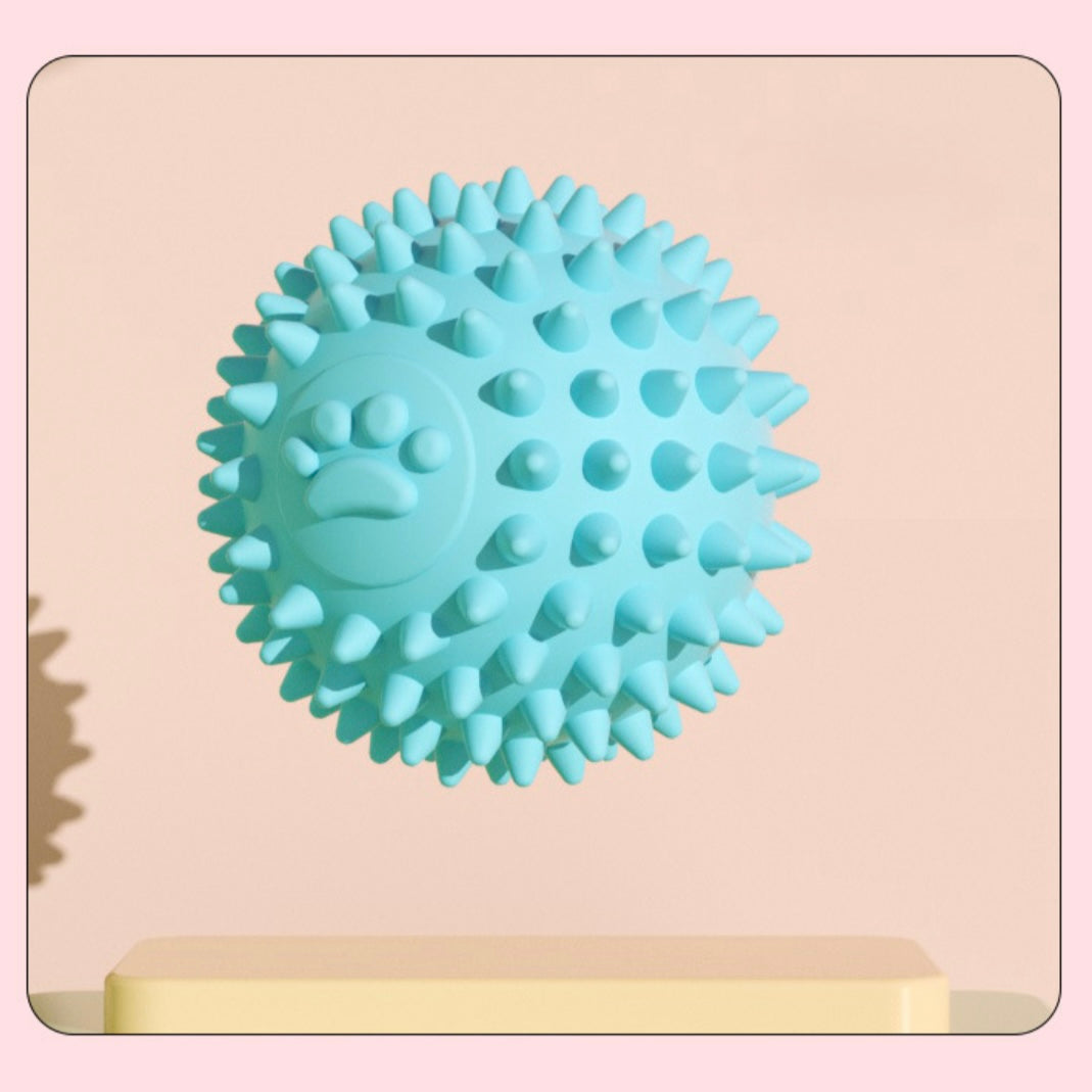 πΎ Paw Print Spiky Dog Ball Toy | TPR Chew Ball for Small Dogs & Puppies - DD PET