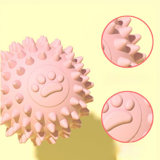 🐾 Paw Print Spiky Dog Ball Toy | TPR Chew Ball for Small Dogs & Puppies - DD PET