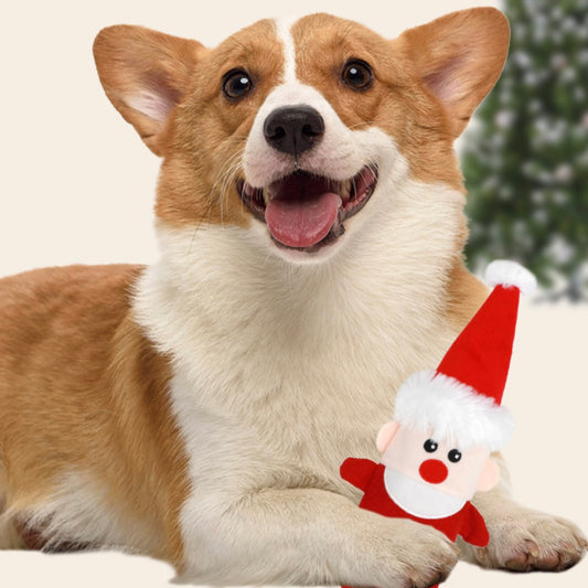 🎅 🦌Christmas Squeaky Rope Dog Toy | Santa & Reindeer Variants - DD PET