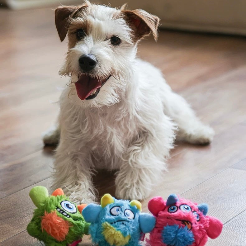 QMonster Plush Squeaky Dog Toy – Soft & Durable Chew Toy for Small & Medium Dogs - DD PET