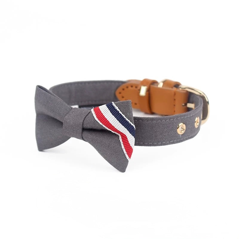 Luxury Bow Tie Dog Collar – Elegant & Adjustable - DD PET