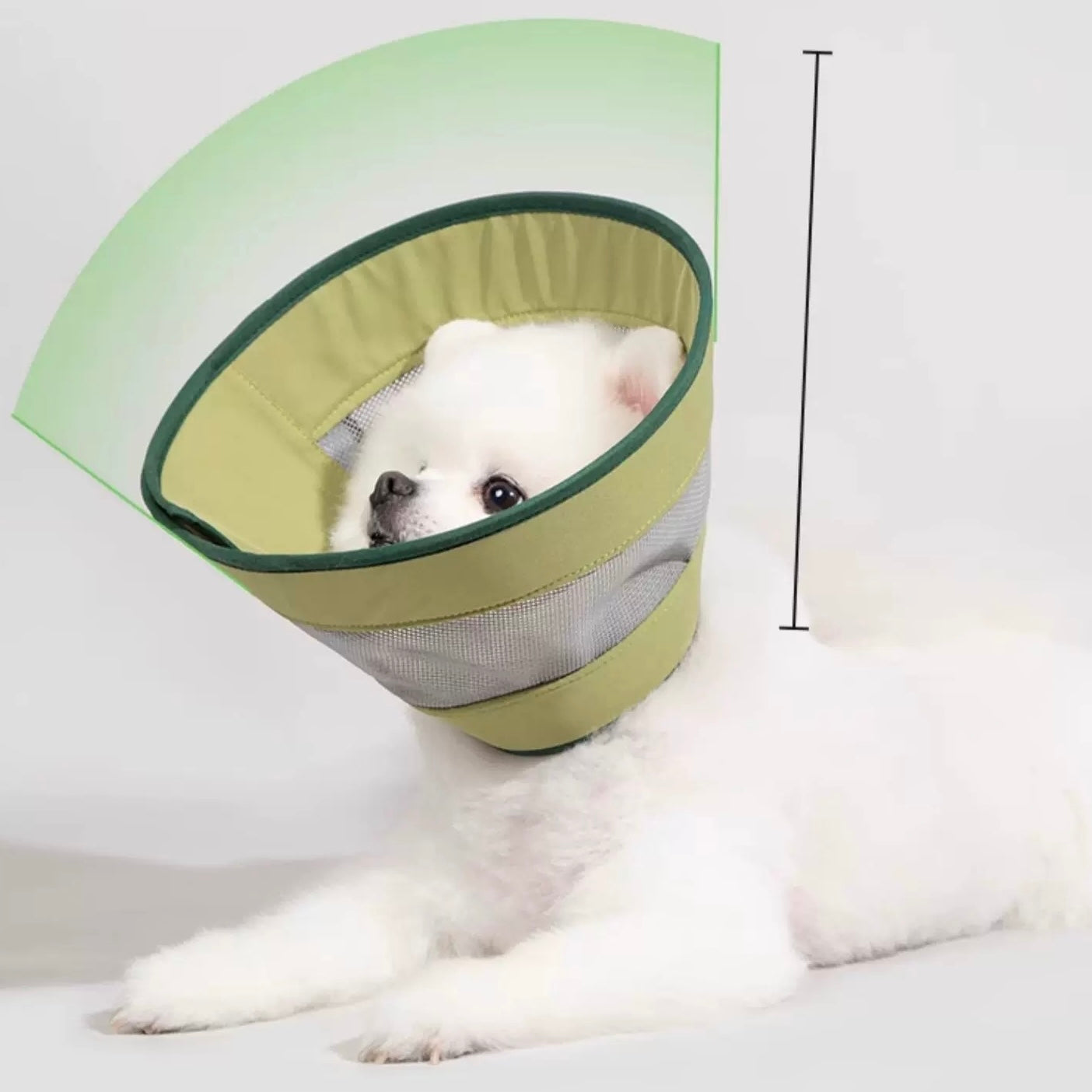 Lightweight Breathable Pet Recovery Cone β Soft Mesh Elizabeth Collar