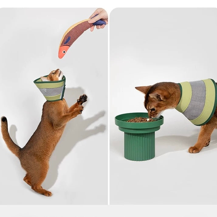Lightweight Breathable Pet Recovery Cone β Soft Mesh Elizabeth Collar
