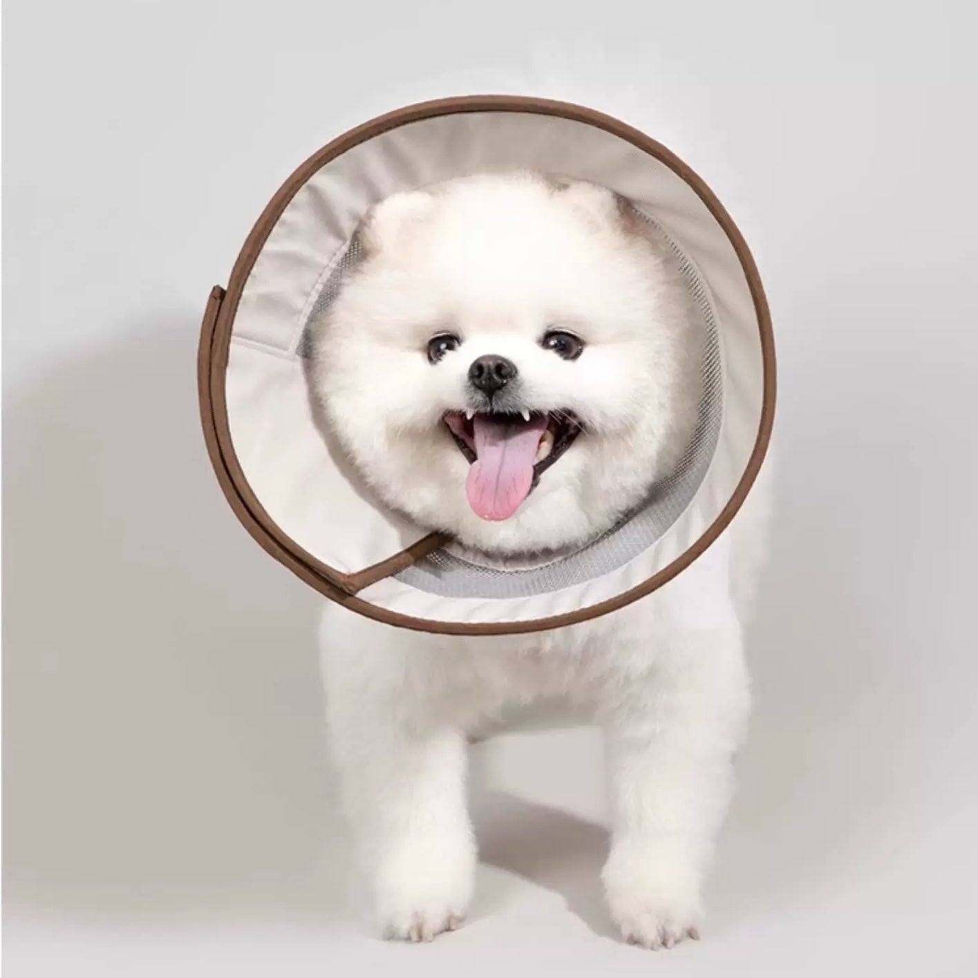 Lightweight Breathable Pet Recovery Cone β Soft Mesh Elizabeth Collar