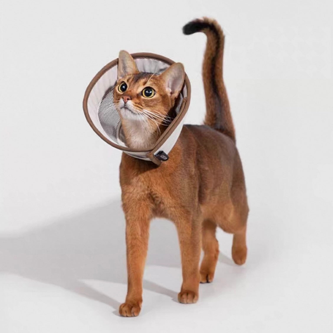 Lightweight Breathable Pet Recovery Cone β Soft Mesh Elizabeth Collar