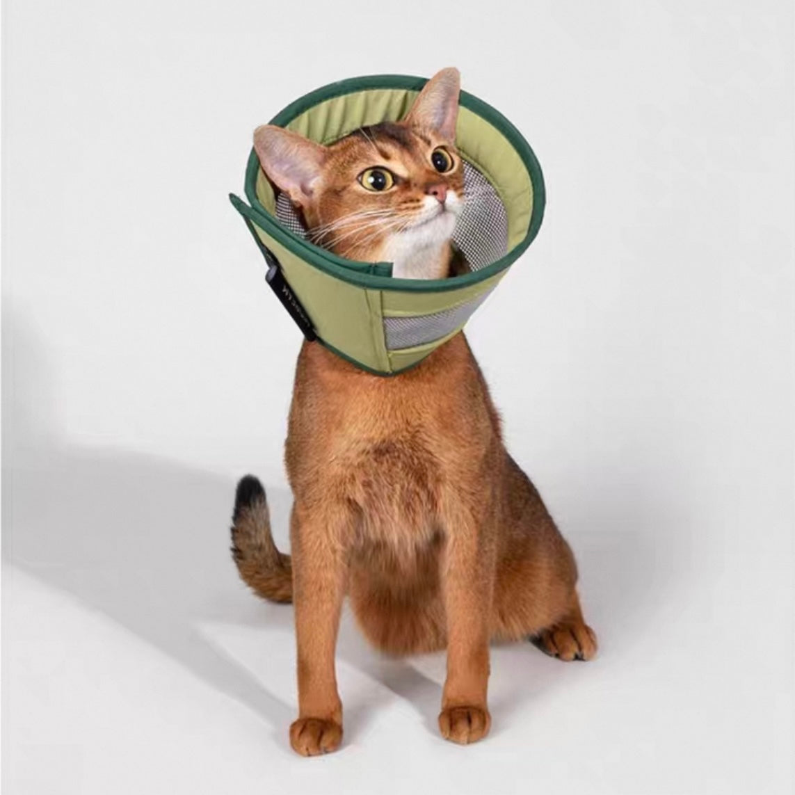 Lightweight Breathable Pet Recovery Cone β Soft Mesh Elizabeth Collar
