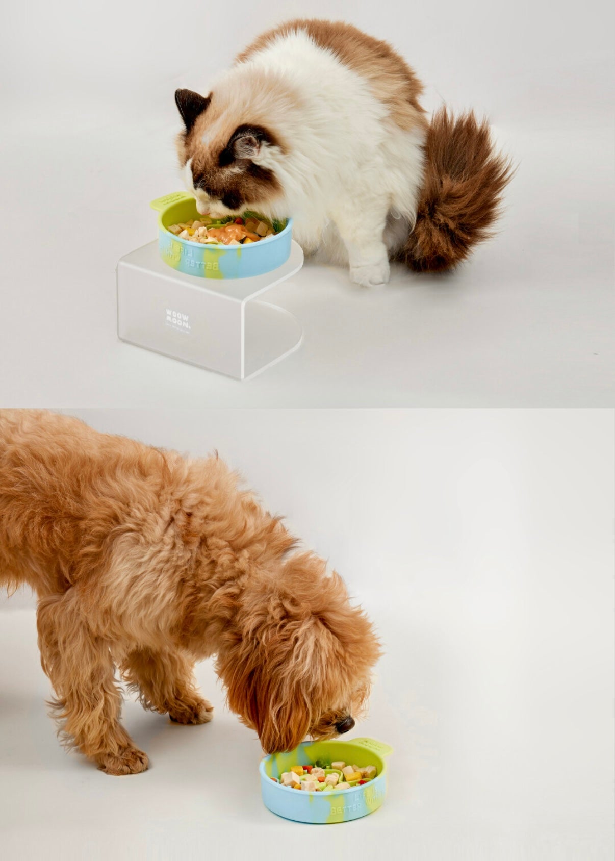 Colourful Silicone Slow Feeder Bowl for Dogs & Cats – Anti-Slip, Dishwasher Safe, Multiple Colours