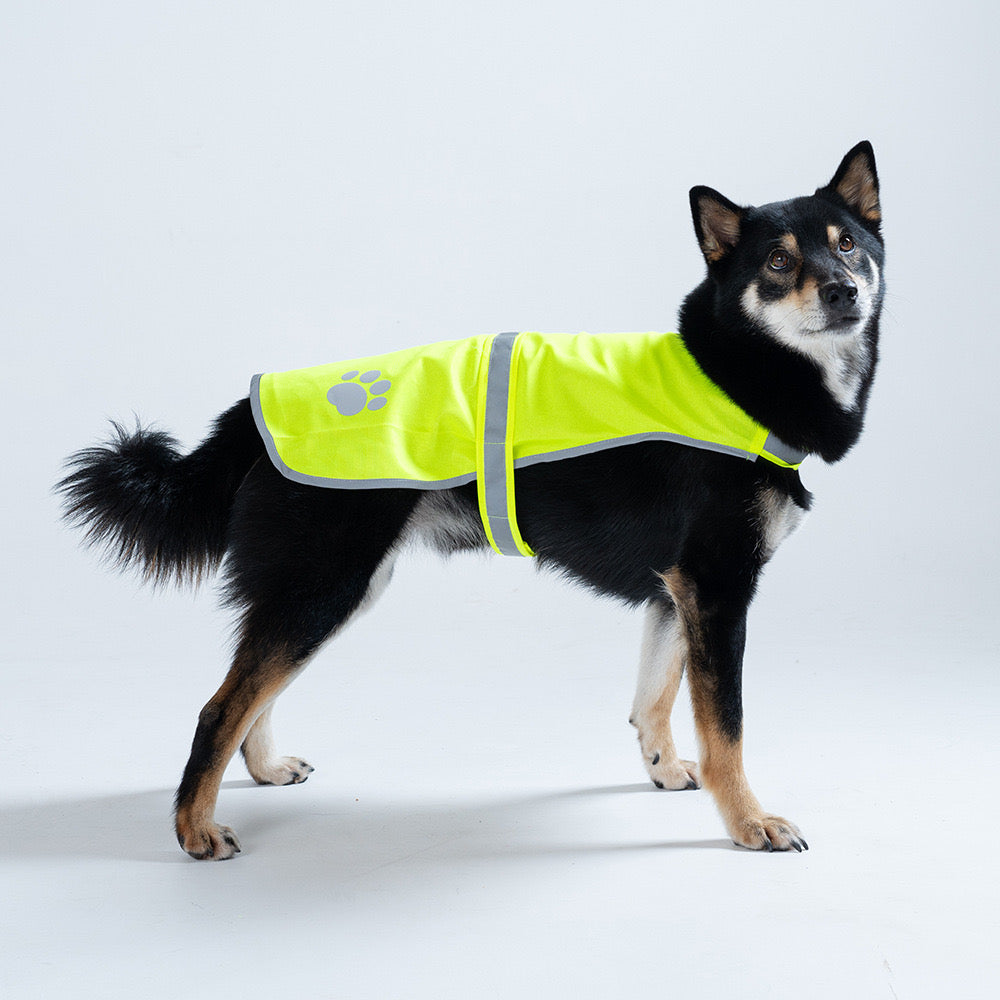 High-Visibility Reflective Dog Vest – Safety Harness Jacket