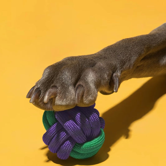 🧶 Colorful Rope Ball Dog Toy | Durable & Fun Chew Toy_New - DD PET