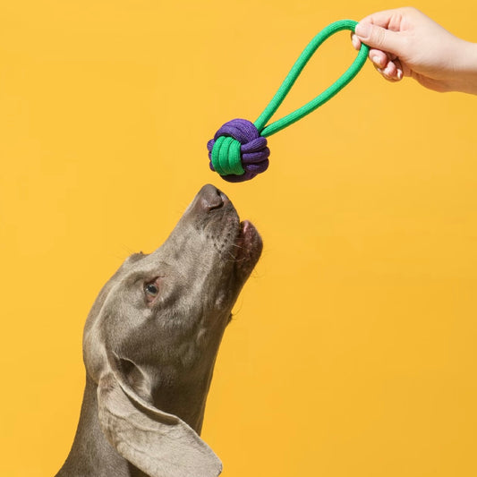 🎯 Rope Ball Tug Toy for Dogs | Colorful & Tough Play Ball - DD PET