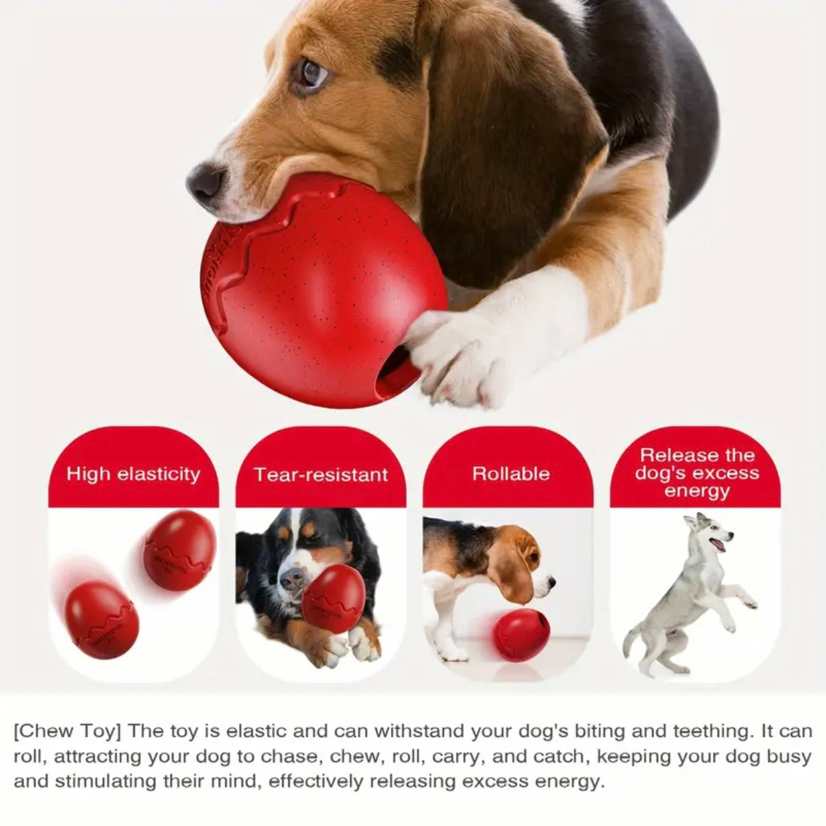 Mysterious Egg Dog Toy – Slow Feeder & Chew Ball for Mental Stimulation