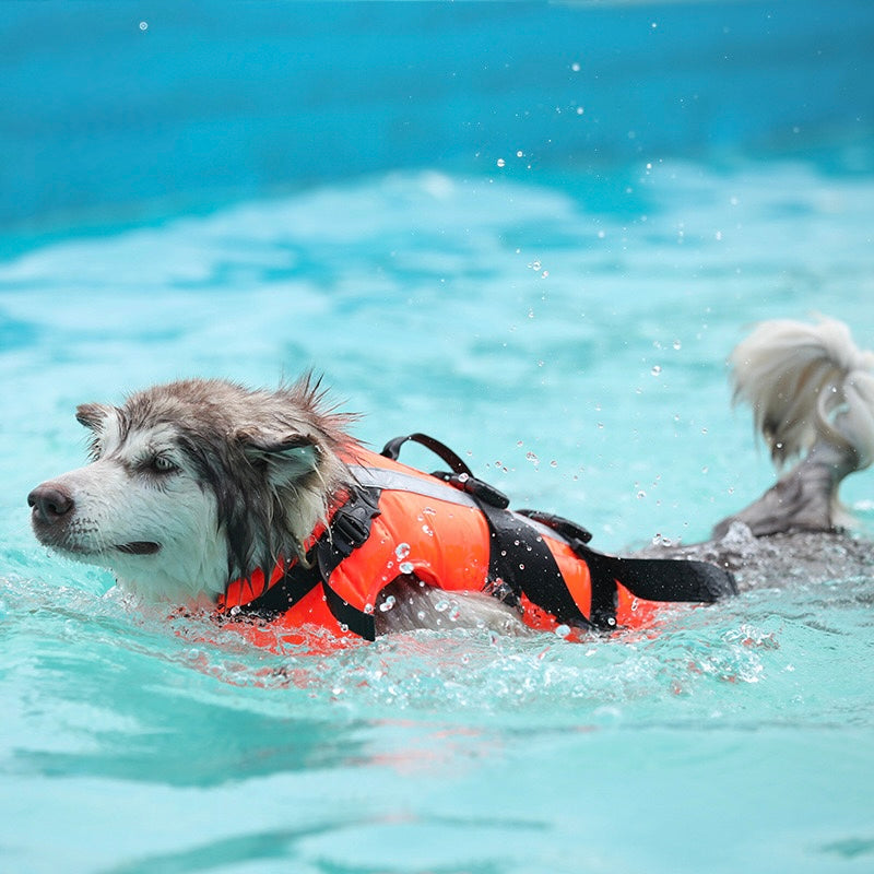 Durable Dog Life Jacket – Reflective, Quick-Dry & Easy to Wear | Secure Handle for Swimming Safety