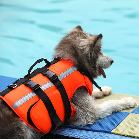 Durable Dog Life Jacket – Reflective, Quick-Dry & Easy to Wear | Secure Handle for Swimming Safety