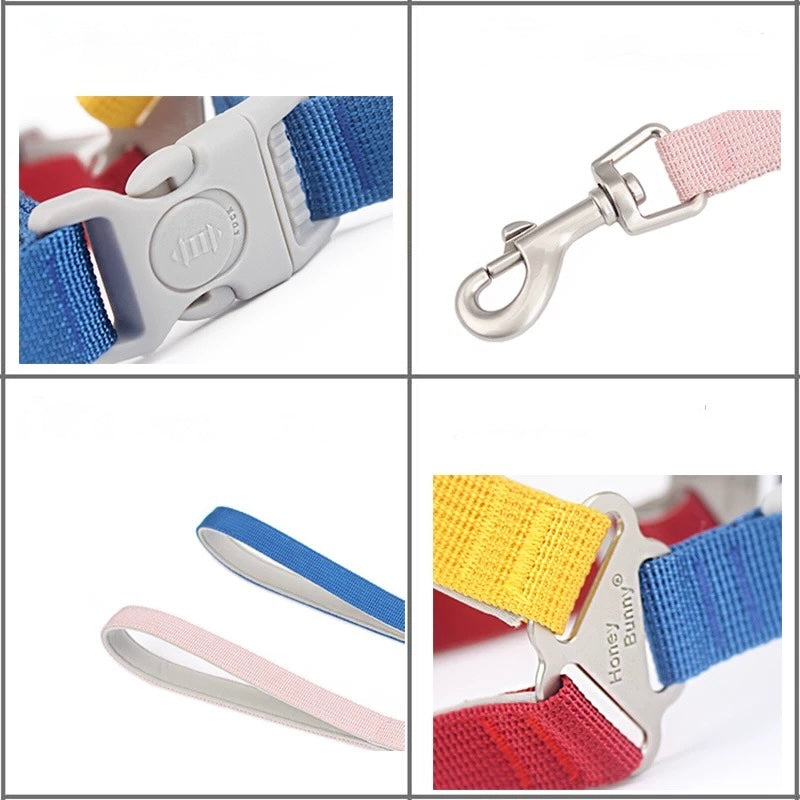 Breathable Y-Shaped Dog Harness & Leash Set β Colourful Design