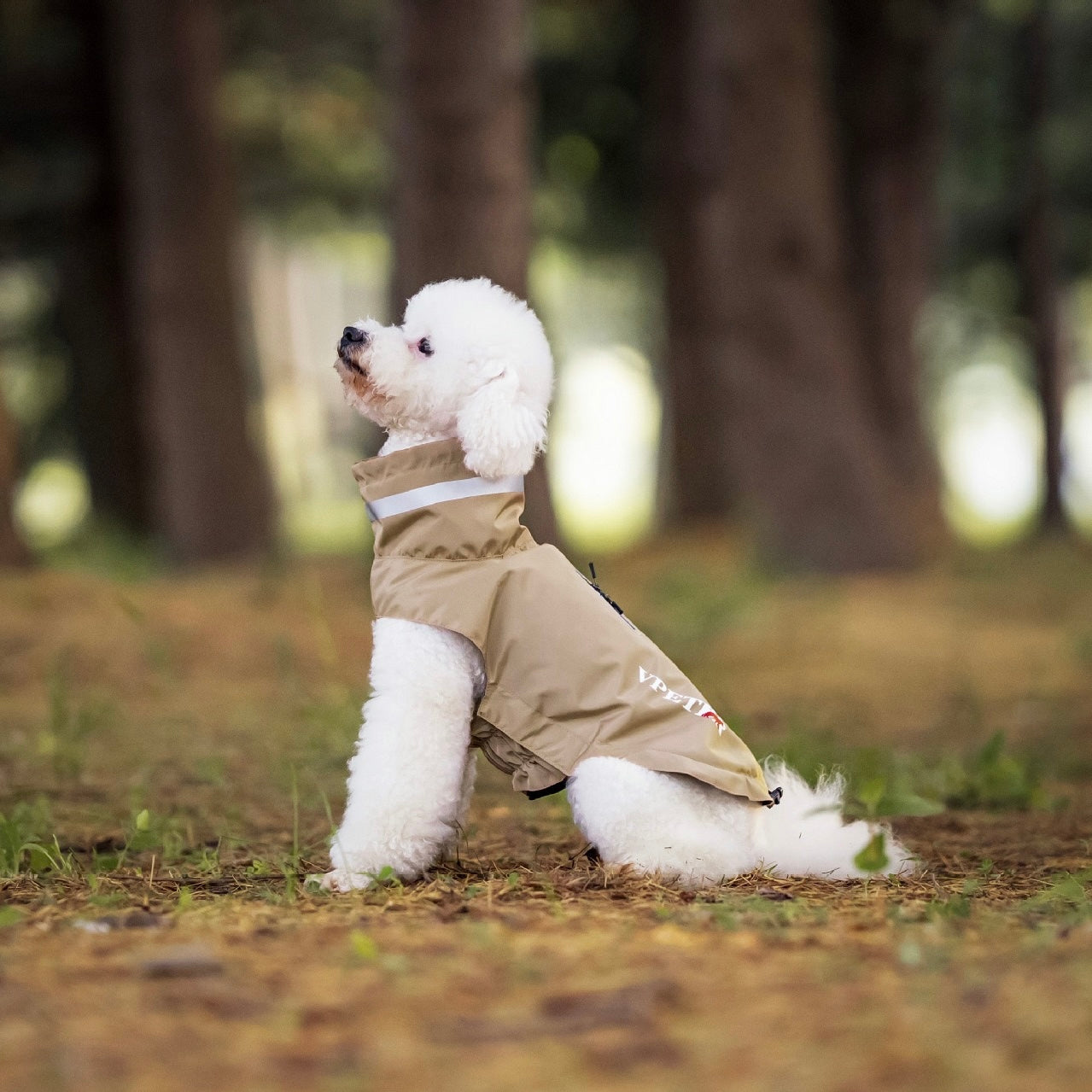 Waterproof Reflective Dog Jacket