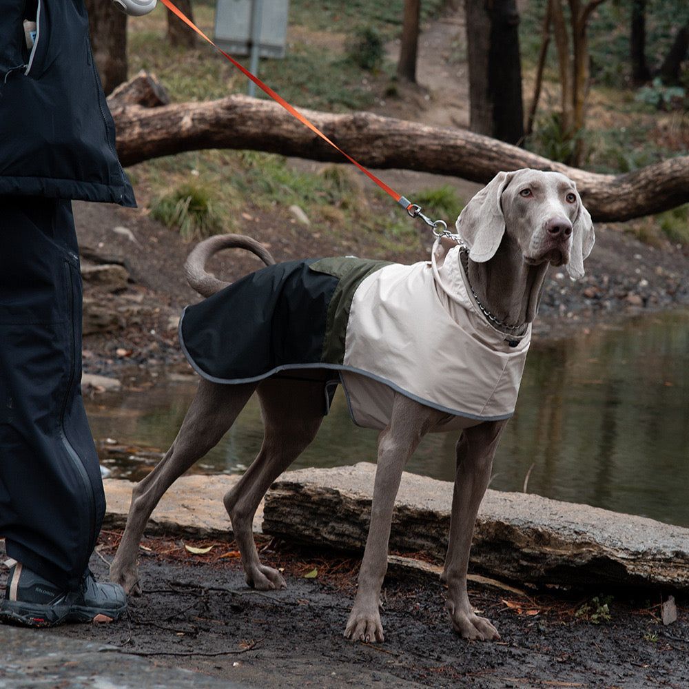 Waterproof Dog Raincoat with Reflective Strips and Adjustable Hood – Breathable Mesh Lining