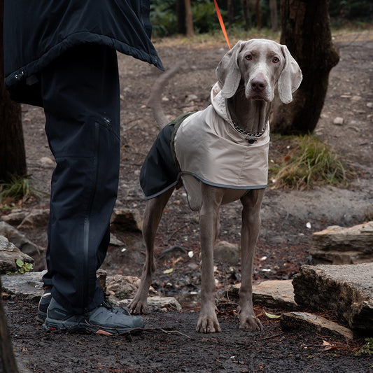 Waterproof Dog Raincoat with Reflective Strips and Adjustable Hood – Breathable Mesh Lining