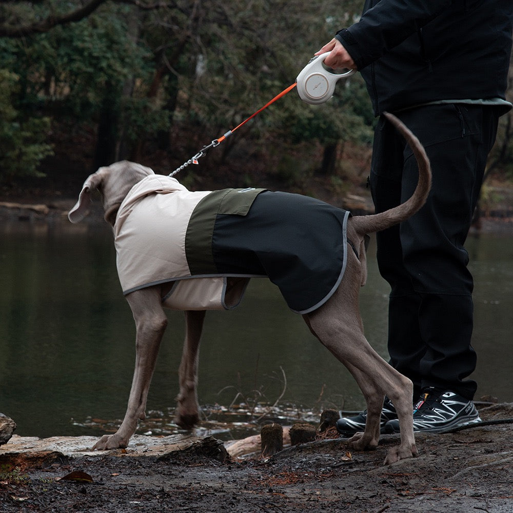 Waterproof Dog Raincoat with Reflective Strips and Adjustable Hood – Breathable Mesh Lining