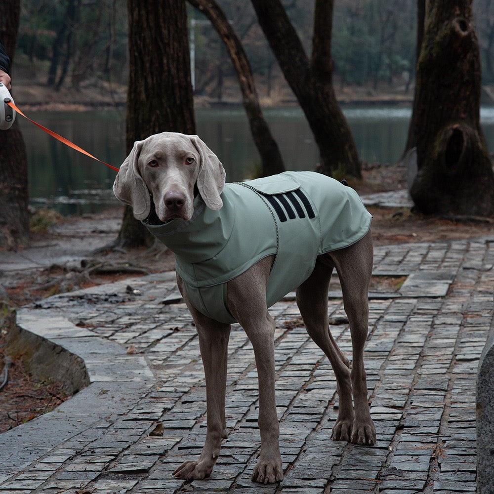 Waterproof Dog Jacket/raincoat with Reflective Strips