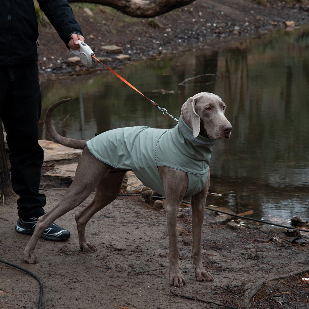 Waterproof Dog Jacket/raincoat with Reflective Strips