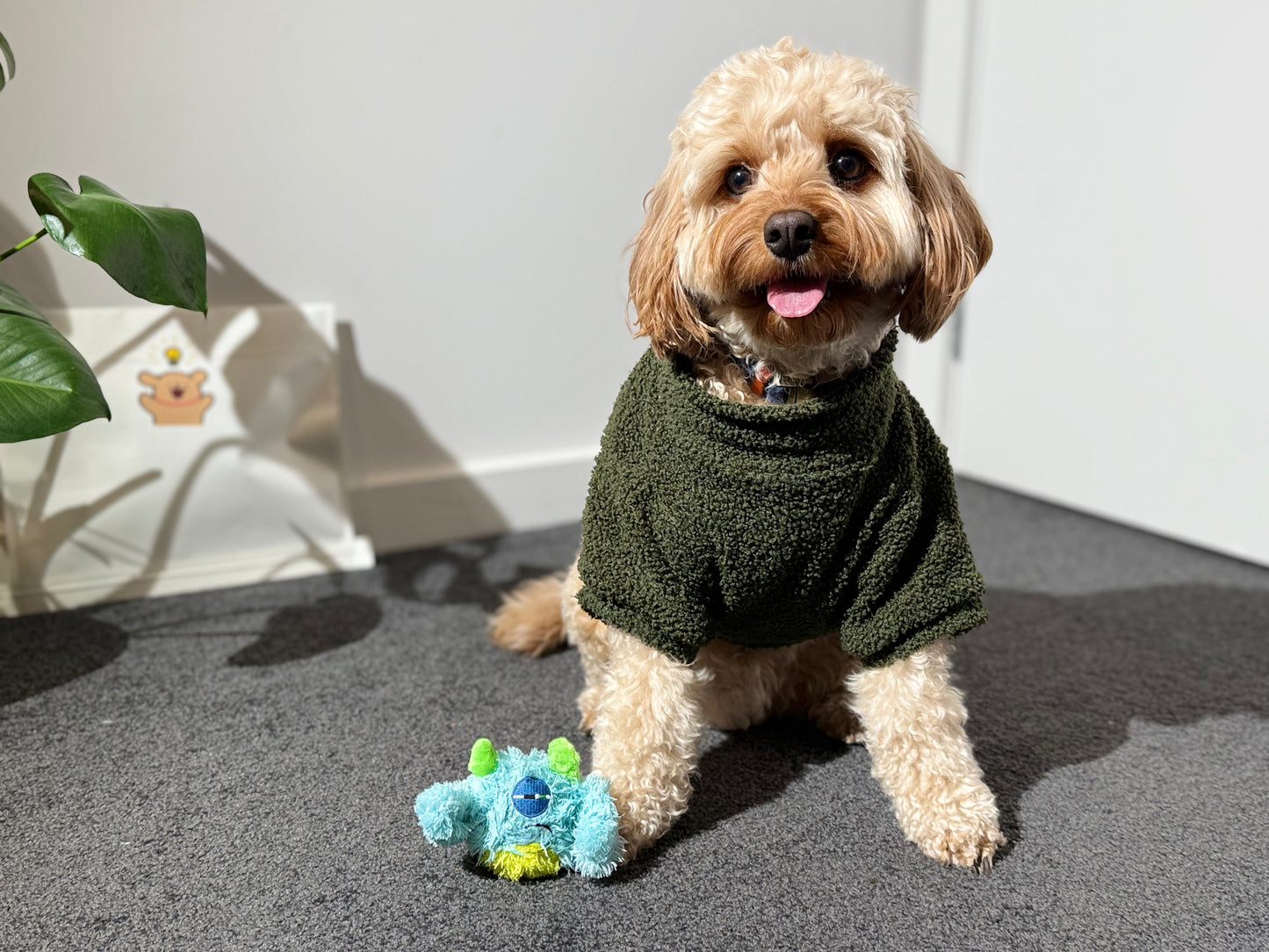 QMonster Squeaky Plush Dog Toy – Soft, Durable & Chew Ball