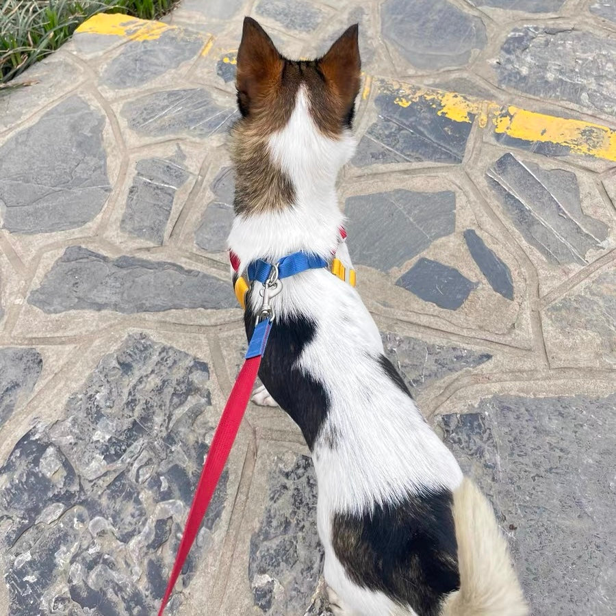 Breathable Y-Shaped Dog Harness & Leash Set β Colourful Design