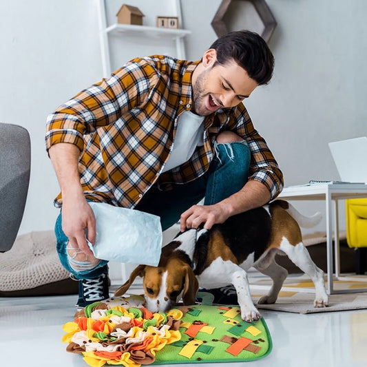 Beer Cup Snuffle Mat for Dogs