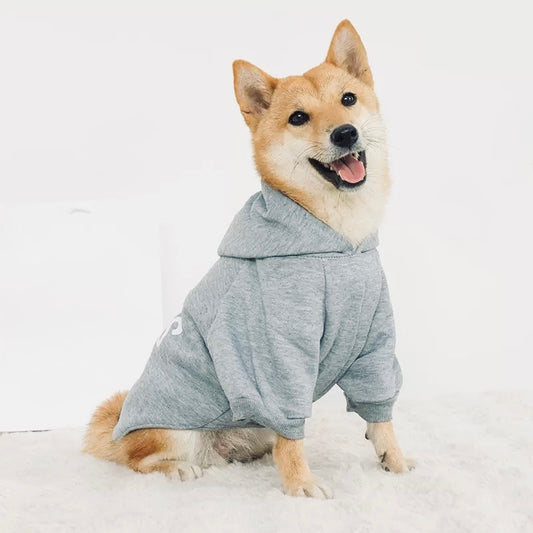 "The Boss" Designer Dog Hoodie - Premium Sweatshirt