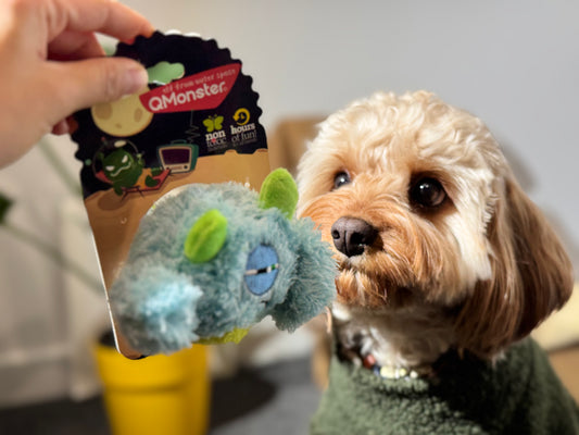 QMonster Squeaky Plush Dog Toy – Soft, Durable & Chew Ball