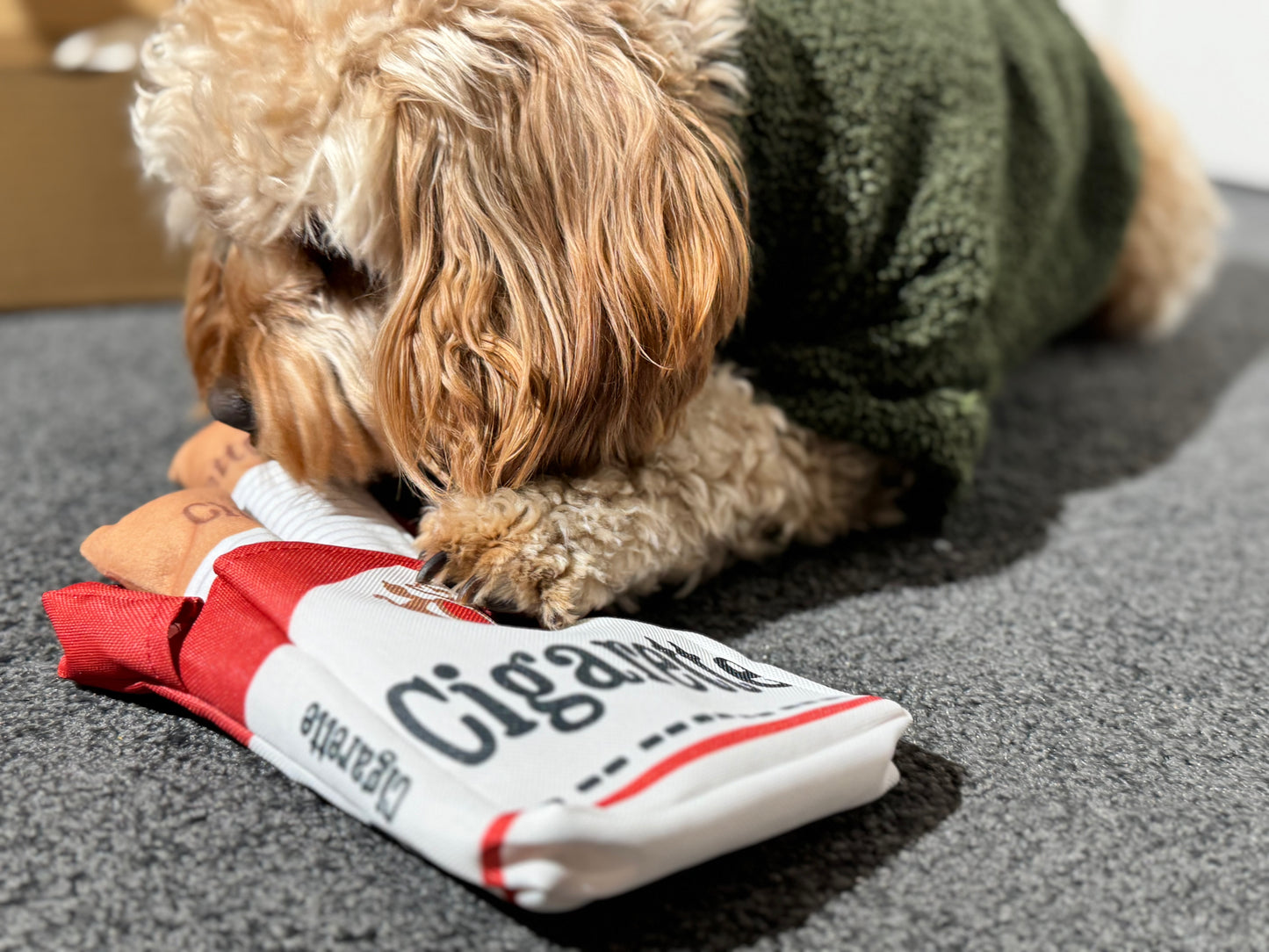 Interactive Cigarette Pack Plush Snuffle Dog Toy