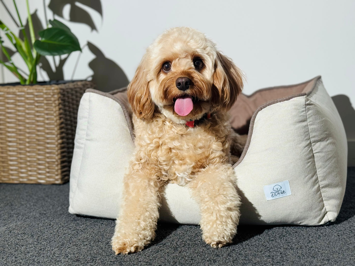 Reversible Cushion Pet Bed – Cozy Nest for Cats & Dogs