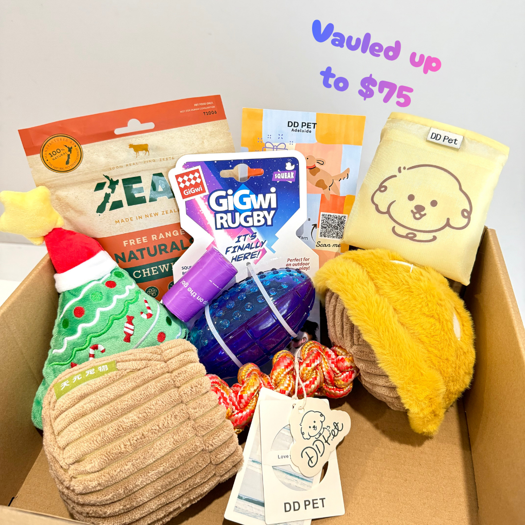 Toy Mystery-box - DD PET