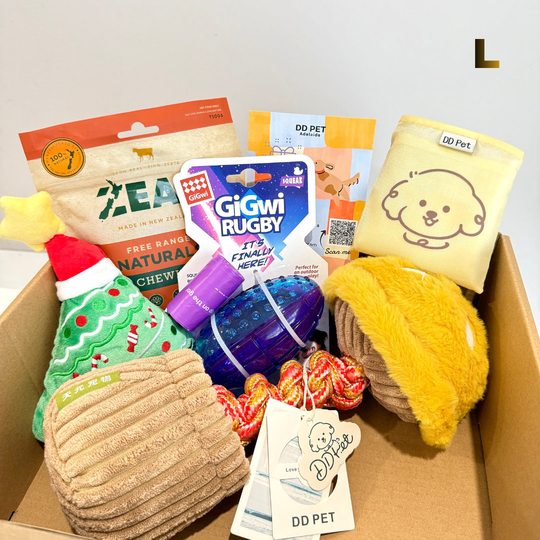 🎁 Limited-Edition Christmas DD PET Surprise Box for dogs