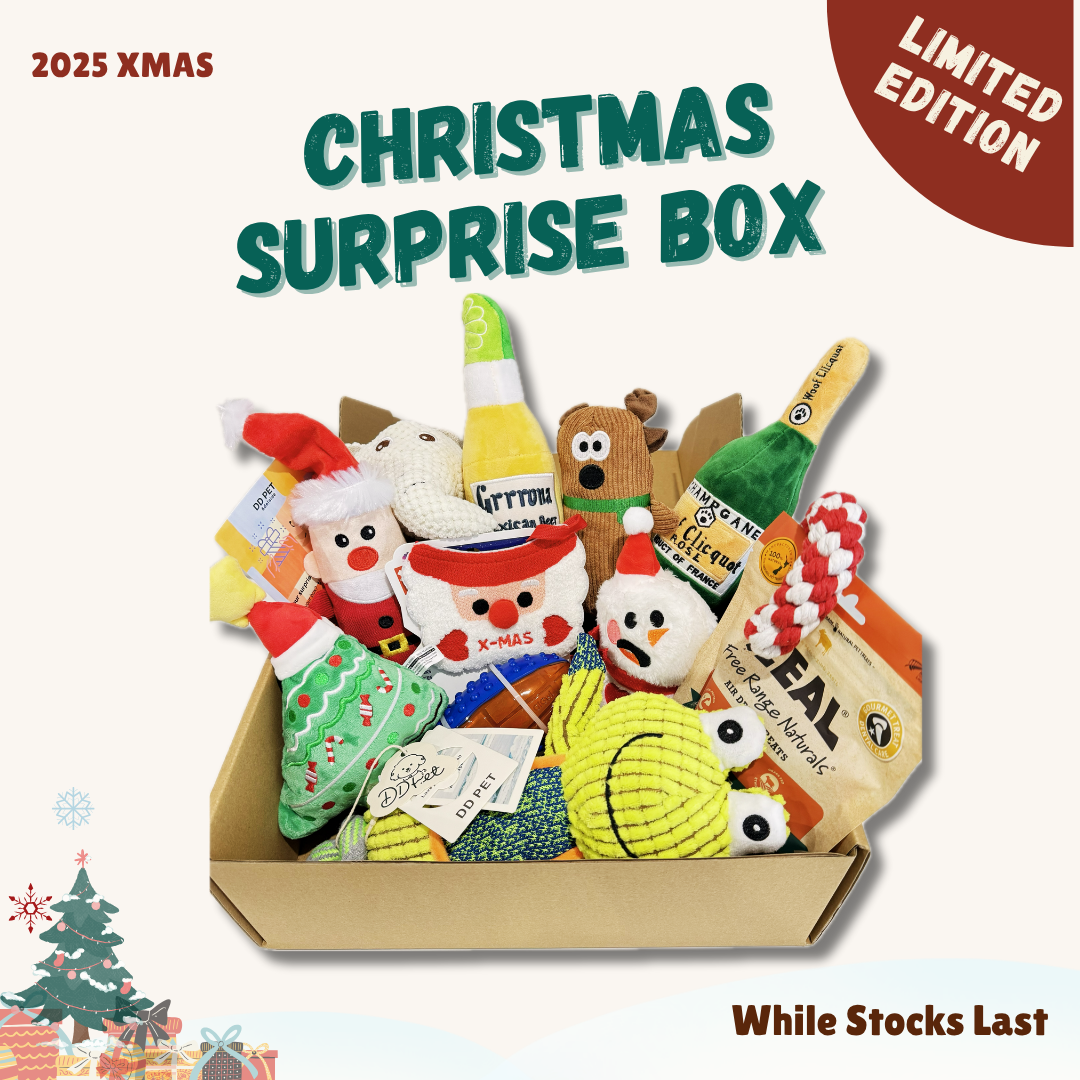 🎁 Limited-Edition Christmas DD PET Surprise Box for dogs