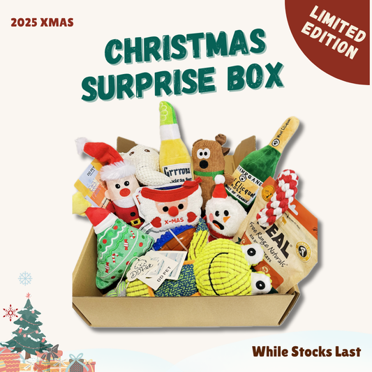 🎁 Limited-Edition Christmas DD PET Surprise Box for dogs